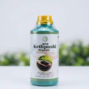 BNF Kethposhi