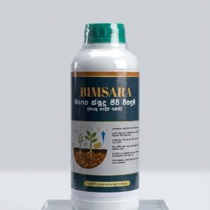 BNF Bimsara