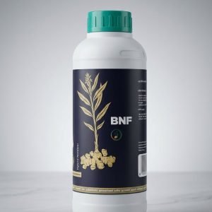 BNF RizoBoost Ginger