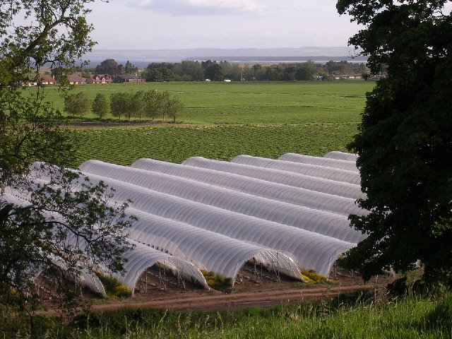 Semi-Open Tropical Polytunnel System for Sri Lanka