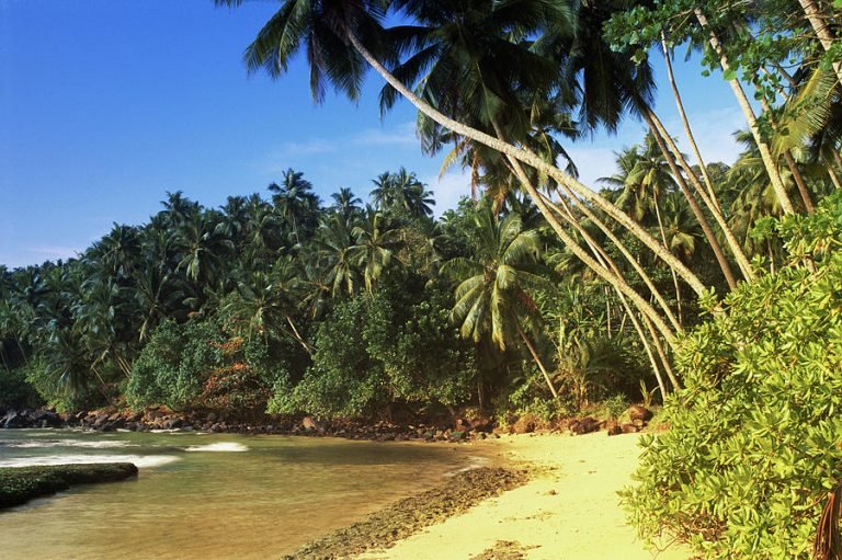 A Tropical Agricultural Engineering Model for SriLanka